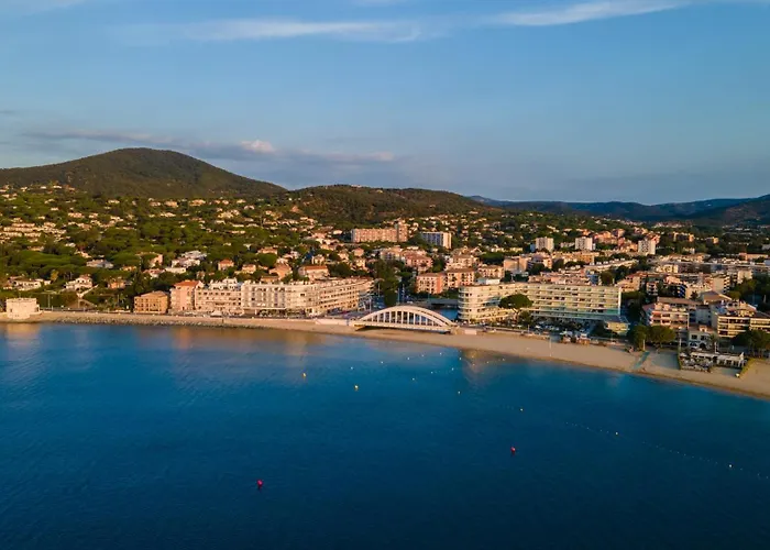 Matisse Face Parking *