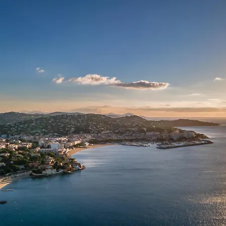 Matisse Face Parking *