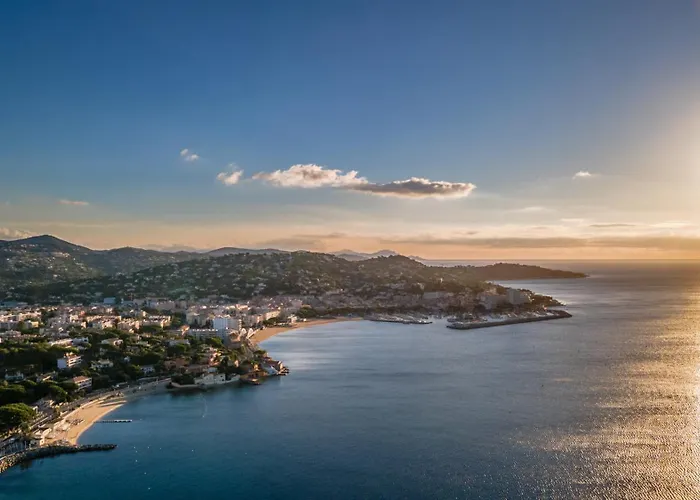 Matisse Face Parking *